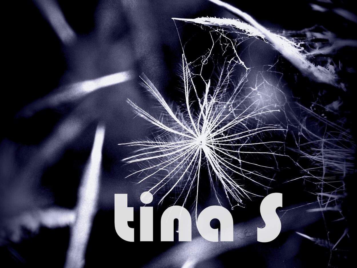 tinasch logo